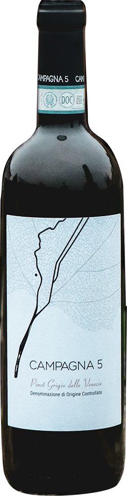 2021 Pinot Grigio Veneto IGP