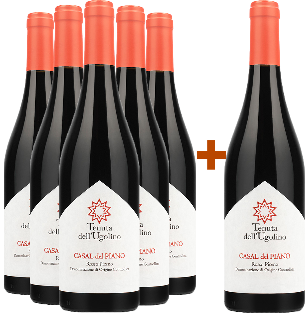 5+1 Casal del Piano Rosso Piceno DOC