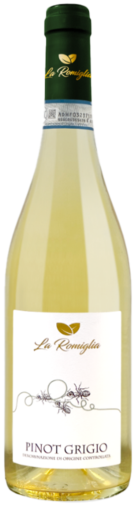 2023 Pinot grigio Venezia DOC