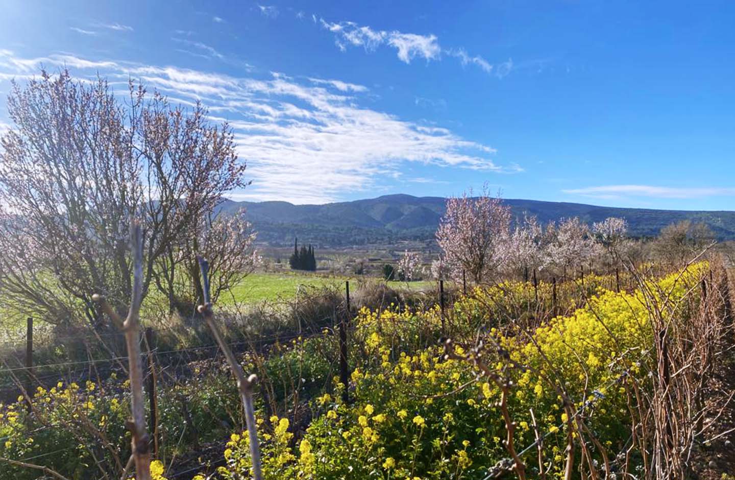 Sainte Marie des Crozes