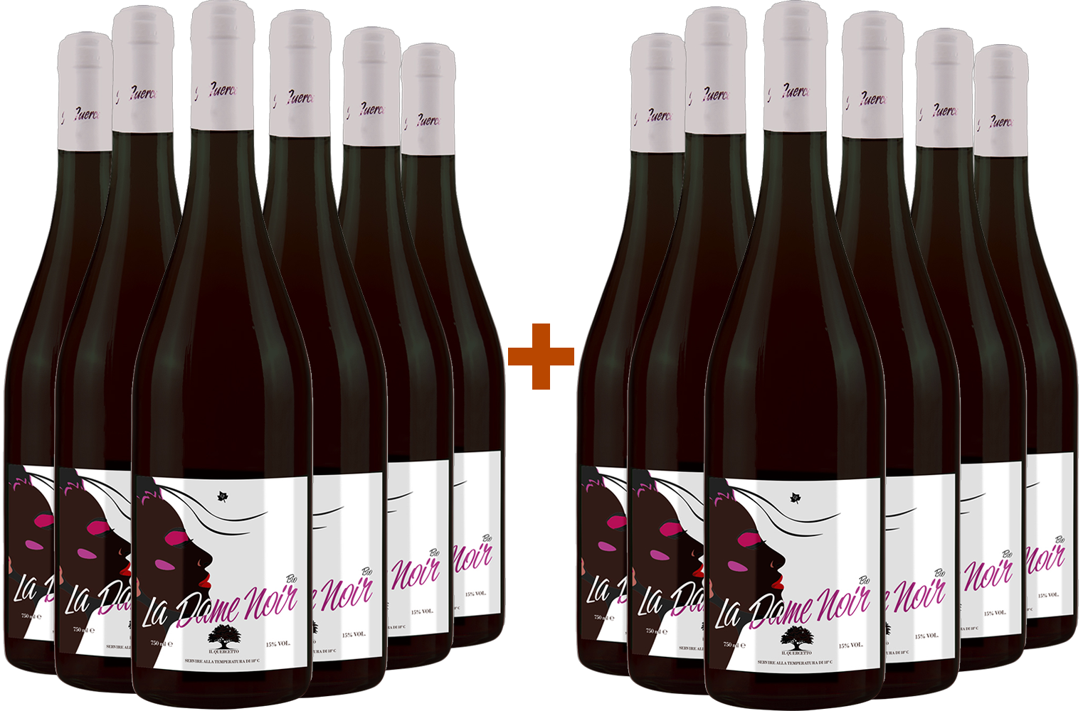 6+6 La Dame Noir BIO