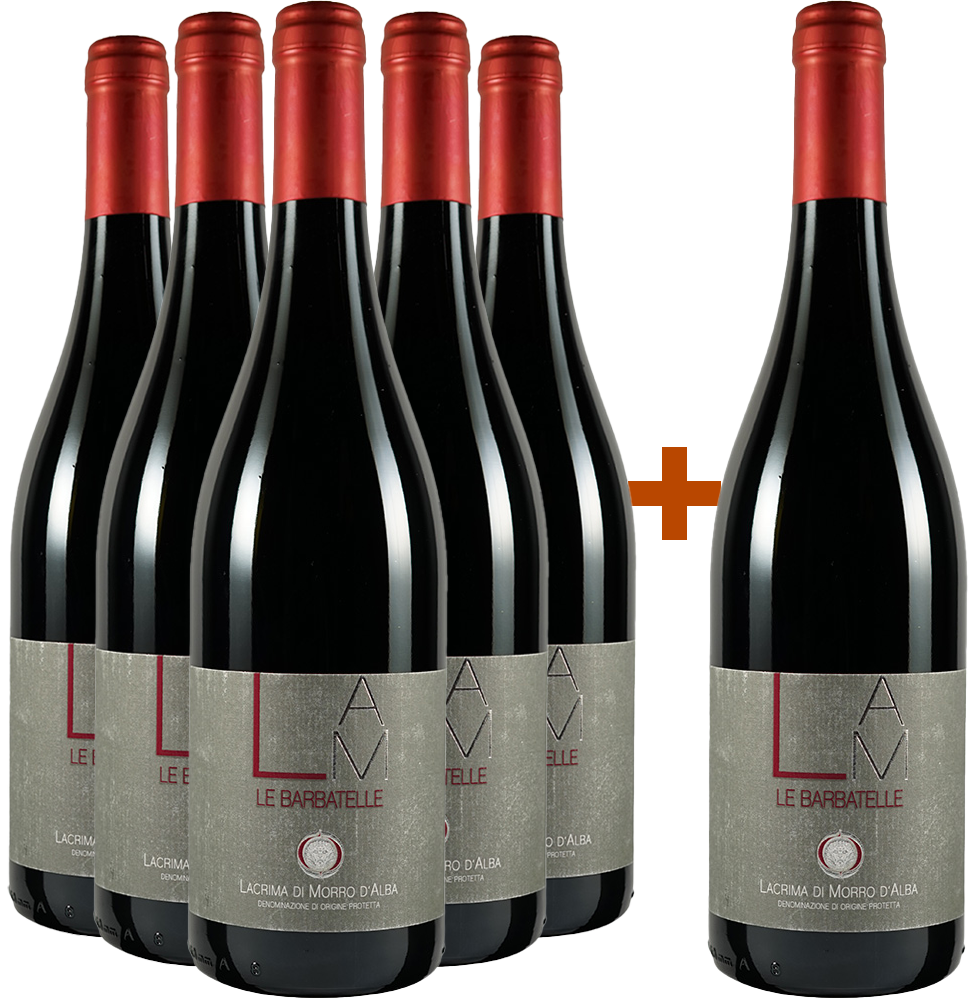 5+1 Le Barbatelle Lacrima Morro D'alba DOC 