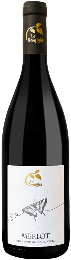 2021 Merlot Veneto IGP