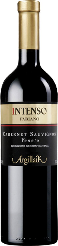 2022 Intenso Cabernet Sauvignon Veneto IGP