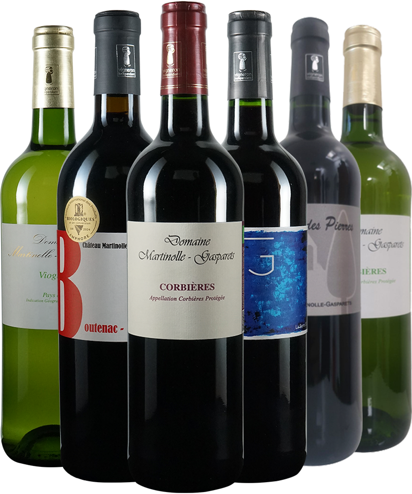 Box Deguatazione Domaine Martinolle-Gasparets BIO