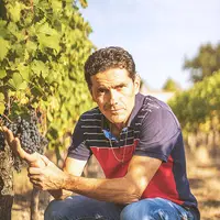 Domaine Marc-Olivier Bertrand