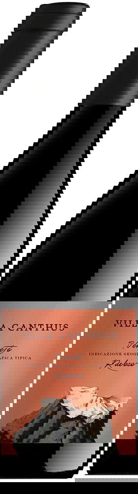 2019 Raboso Veneto IGP