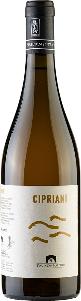 2024 Cipriano Marche IGP BIO