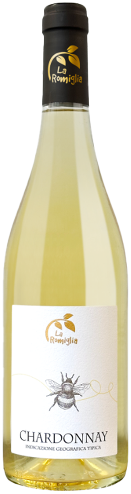 2021 Chardonnay Veneto IGP