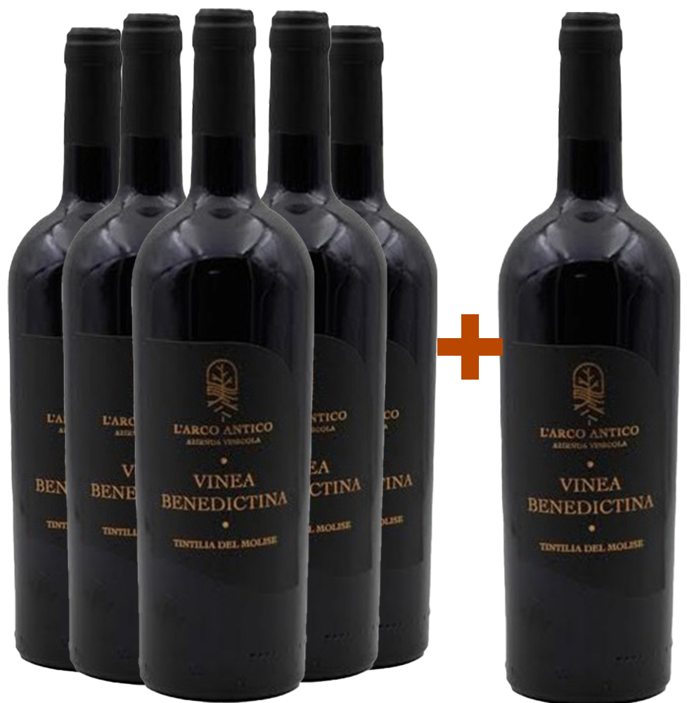 5+1 Vinea Benedictina Tintilia del Molise DOC