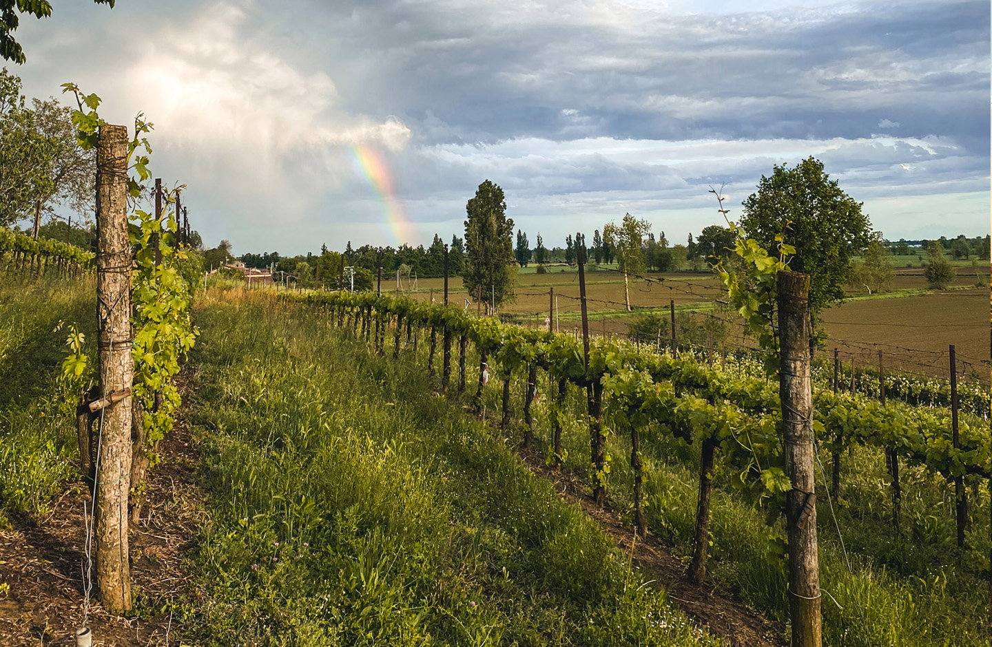 Azienda agricola Peroni
