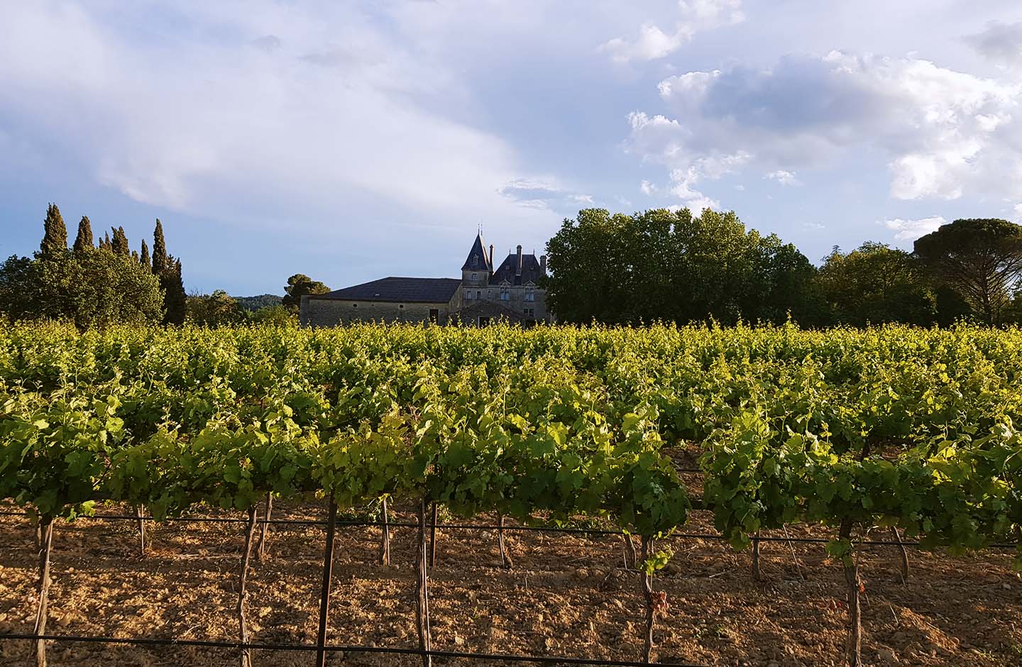 Vinpressionniste - Domaine de la Canague Vieille