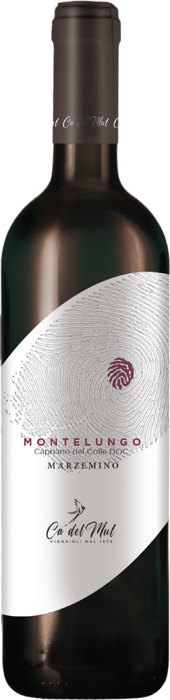 2023 Capriano del Colle DOC Marzemino