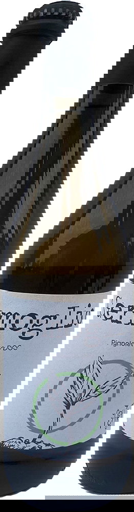 2022 Germoglio Pignoletto DOC