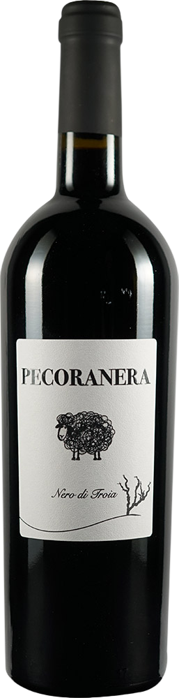 2024 Pecoranera Puglia IGP