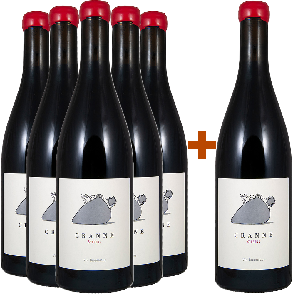 5+1 2022 Sterenn BIO