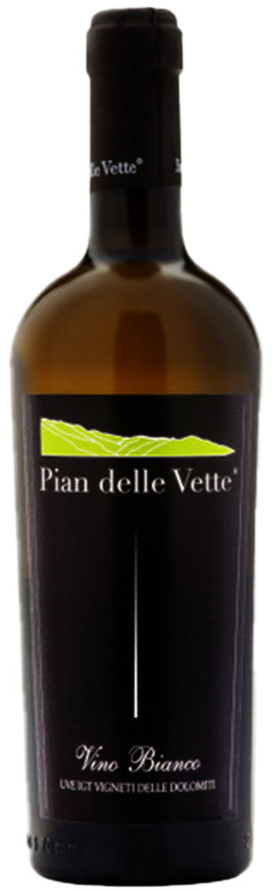 2020 Chardonnay Vigneti Delle Dolomiti IGP reflection