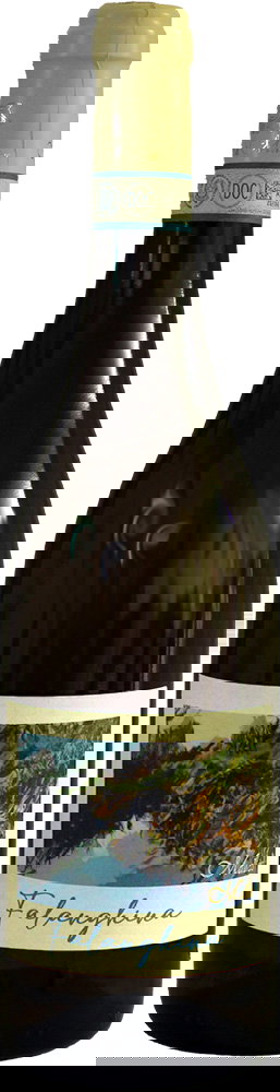 2024 Falanghina del Sannio DOC