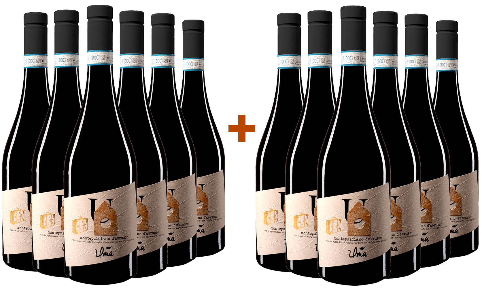 Promo 2020 Montepulciano DOC BIO