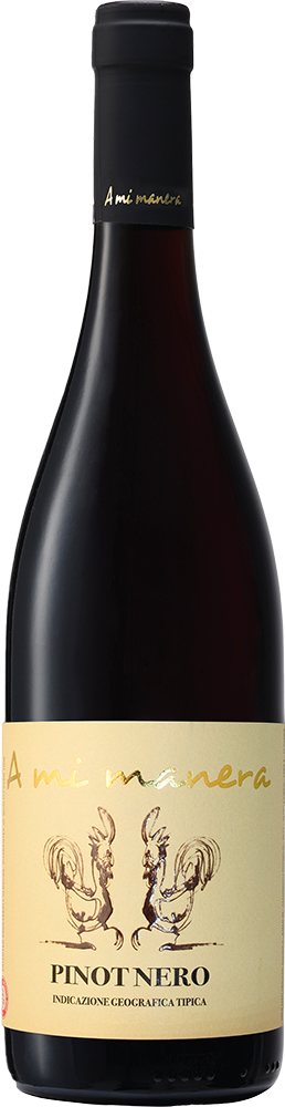 Pinot Nero Veneto IGP