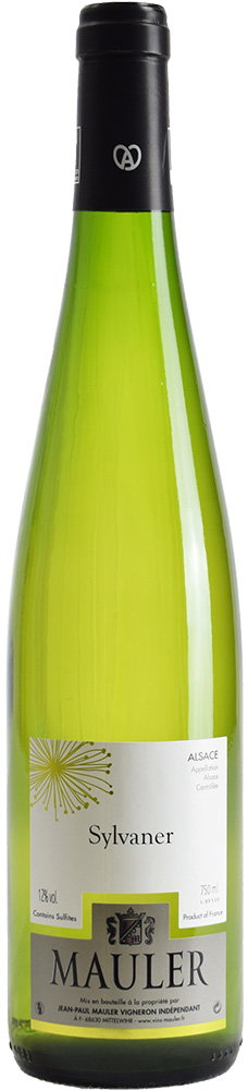 2024 Sylvaner Alsace AOP reflection