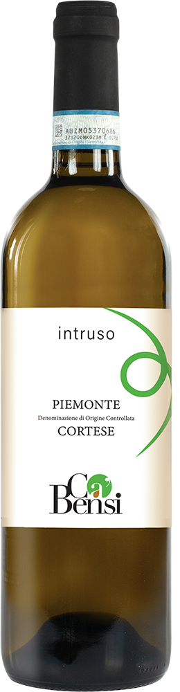 2025 Intruso Cortese Piemonte DOC