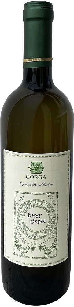 2023 Pinot Grigio Vigneti delle Dolomiti IGP