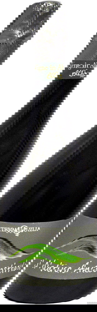 2020 Il Nativo Ancestrale Emilia IGP BIO