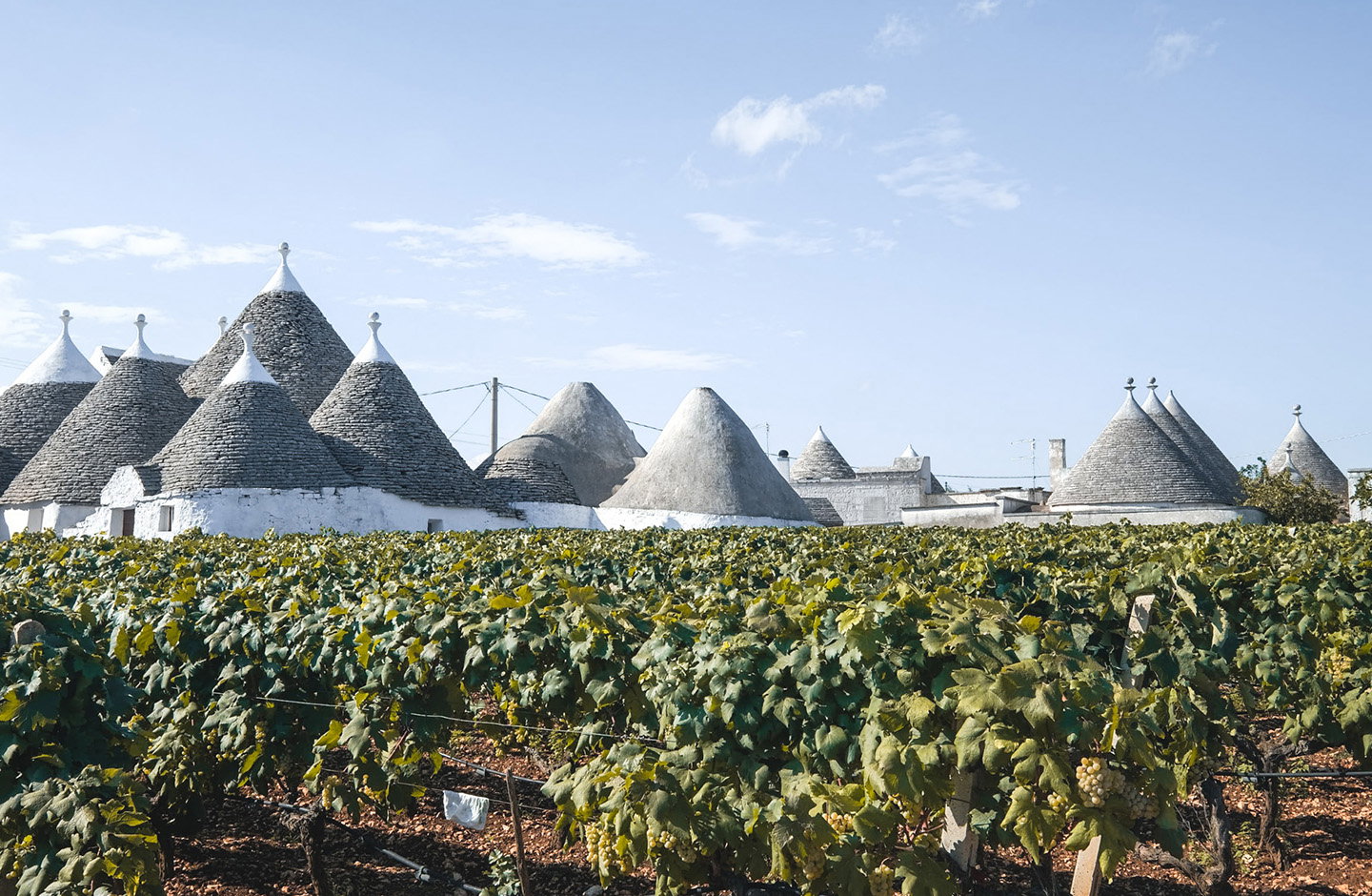 Trulli pugliesi sotto il cielo azzurro, simbolo della terra del Susumaniello