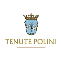 Polini