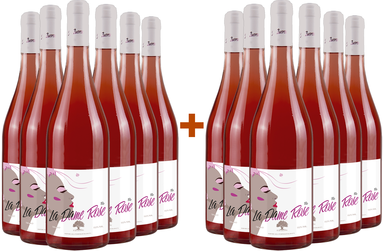 6+6 La Dame Rose BIO