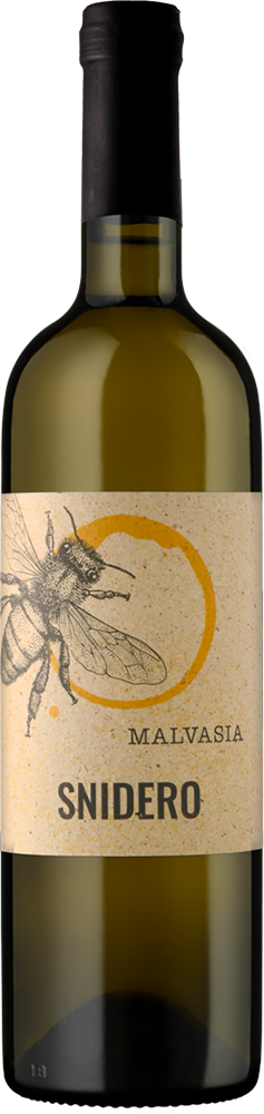 2024 Malvasia DOC BIO