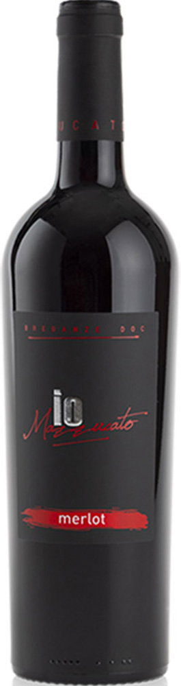 2019 Merlot Breganze DOC
