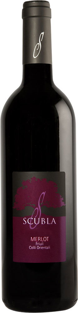 2021 Merlot Friuli Colli Orientali DOC reflection