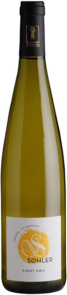 2023 Pinot Gris Alsace AOP BIO