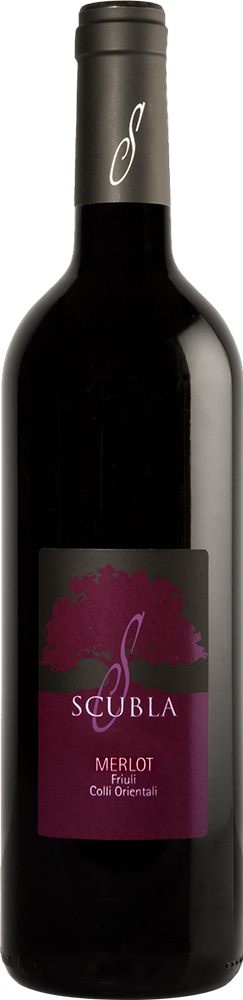 2022 Merlot Friuli Colli Orientali DOC reflection