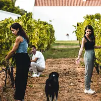 Podere 45