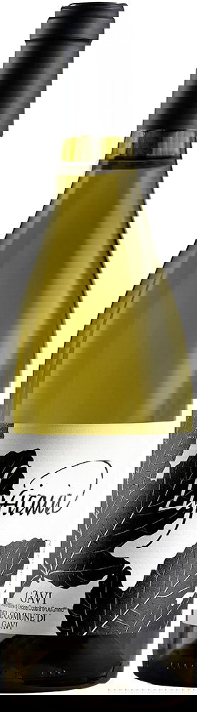 2025 Gavi del comune di Gavi DOCG