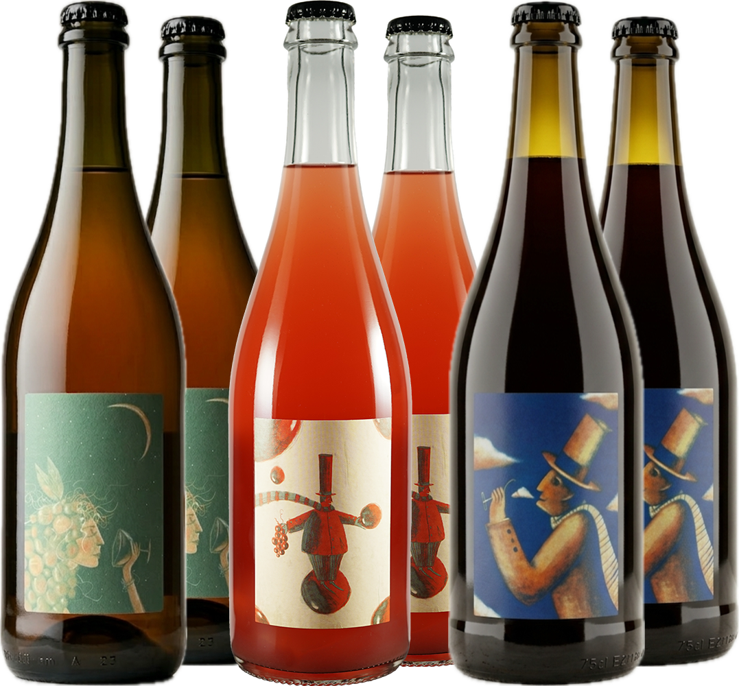 Viv Winery Box Degustazione