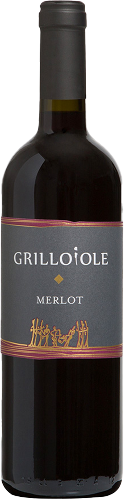 2021 Merlot Friuli Colli Orintali DOC