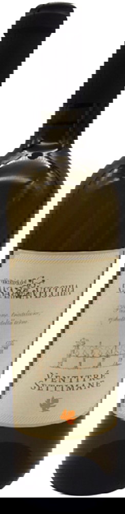 2022 Ventitrè Settimane Terre del Volturno IGP