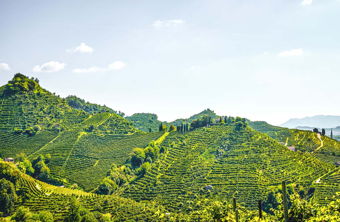 Cantina di Tortona