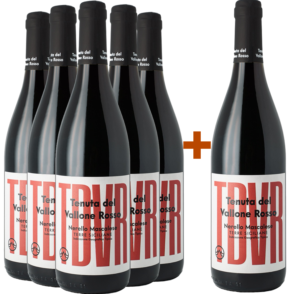 5+1 TDVR Nerello Mascalese 2023