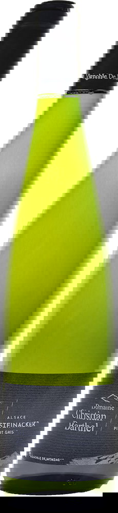 2024 Pinot Gris Steinacker AOP BIO