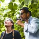 Fattoria Italiana Martelli