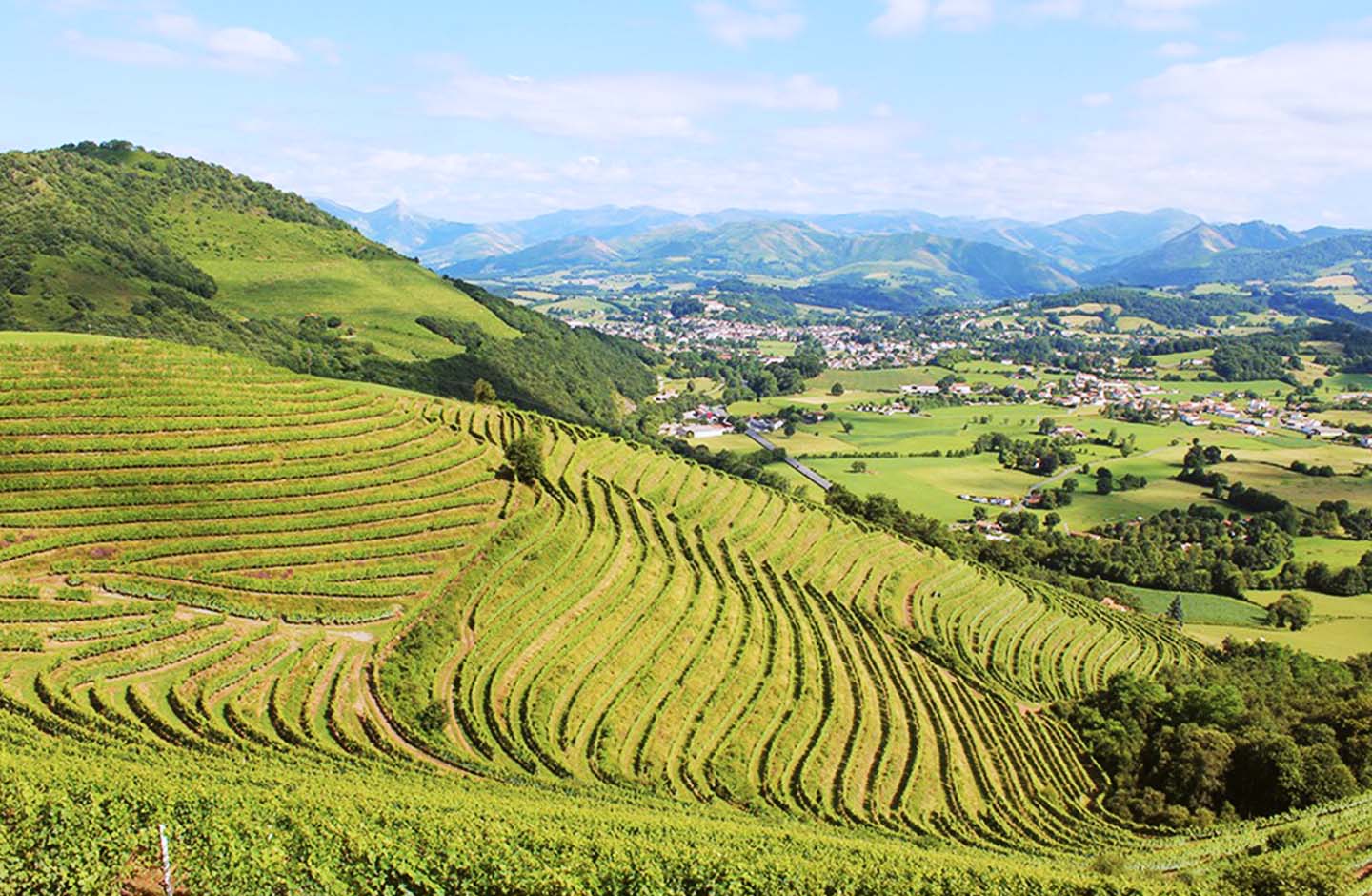 La Cave d’Irouléguy
