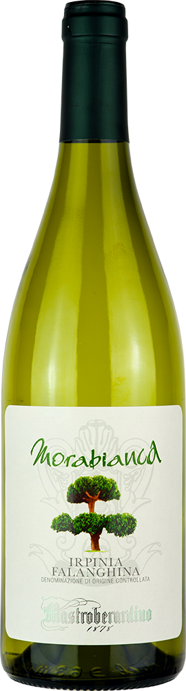 2025 Morabianca Falanghina Irpinia DOC