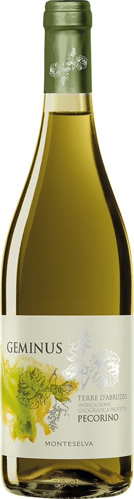 2025 Geminus Terre d'Abruzzo IGP