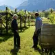 Weingut H. Lentsch