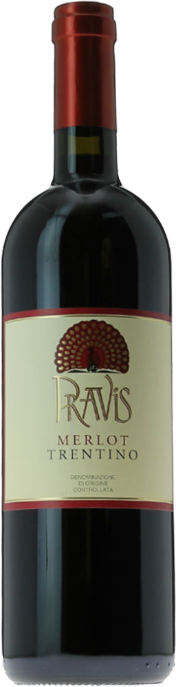 2021 Merlot Trentino DOC